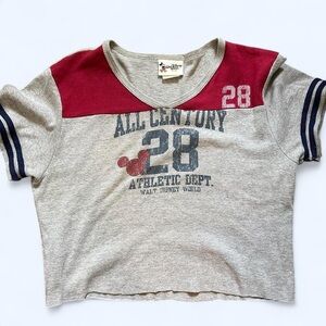 Disney All Century Athletic Dept. Grey & Red Sporty V-Neck – L